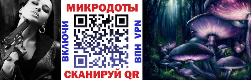 Купить  Венёв  Псилоцибиновые грибы GOLDEN TEACHER 